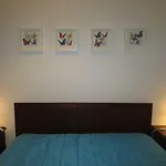 A Casa Das Escolas Gerais